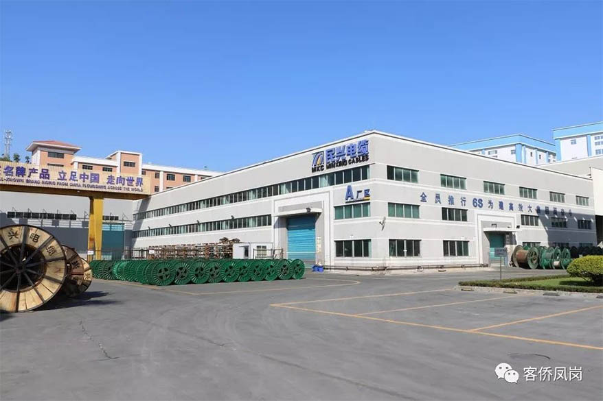 党建引航 | 坚守初心与使命——  AG尊时凯龙人生就电缆接受凤岗电视台采访和报道