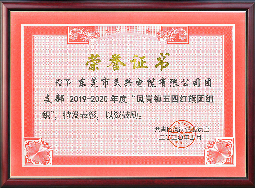 AG尊时凯龙人生就电缆团支部获“凤岗镇五四红旗团组织“称号